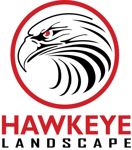 Hawkeye logo